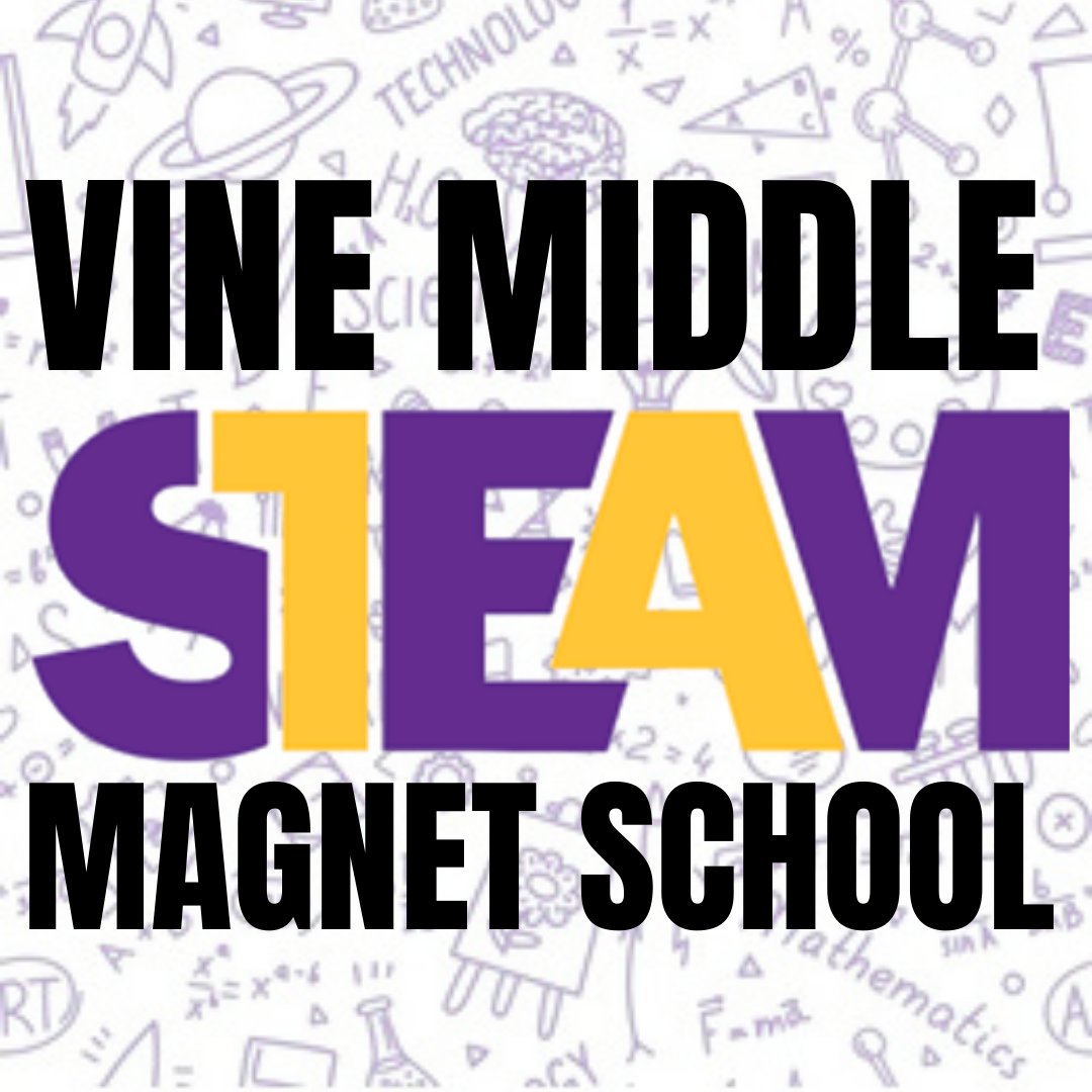  STEAM Magnet Information